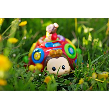 Игрушка-каталка VTech Говорящий жук