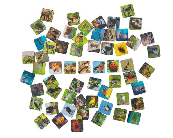 Сортер "Животный мир" Smile Decor