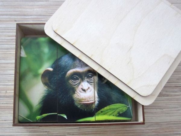 Разрезные картинки Дикие животные Smile Decor