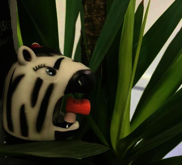 Звонок Zebra (Зебра) Crazy Safety